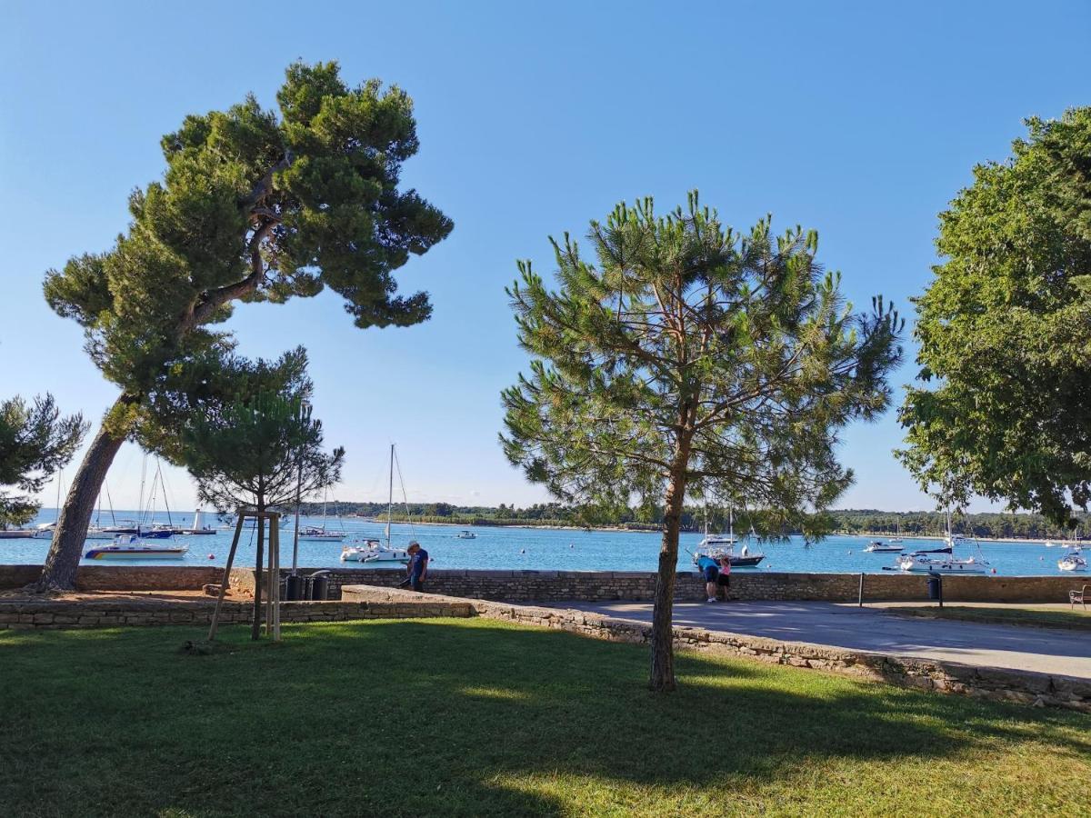 Ivan B&B, 5 Star Superior Room, Near The See And Park Novigrad  Exterior photo