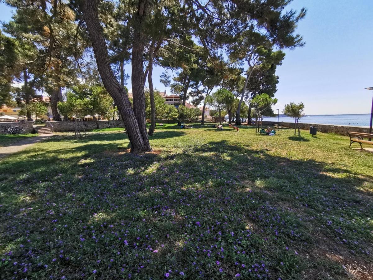 Ivan B&B, 5 Star Superior Room, Near The See And Park Novigrad  Exterior photo